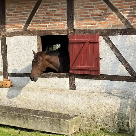 Landhuis A La Ferme Avec Piscine, Animaux Admis En Sologne Bourbonnaise