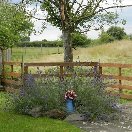 A La Ferme Avec Piscine, Animaux Admis En Sologne Bourbonnaise - Fr-1-489-368 *
